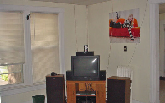 Pink Flamingo House (1127)